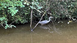 IMG_0108