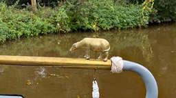 IMG_0144