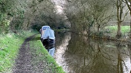 IMG_0529
