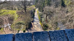 IMG_0539
