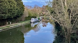 IMG_0582