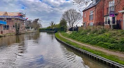 IMG_0585