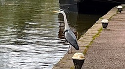IMG_0628