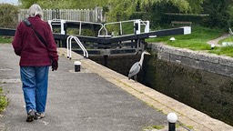IMG_0636