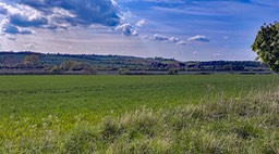 IMG_0684