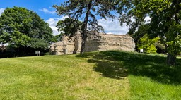 IMG_0732