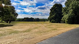 IMG_0798