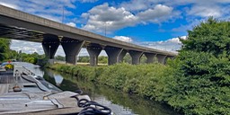 IMG_0803