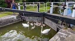 IMG_0816