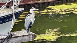 IMG_0819