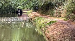 IMG_0850