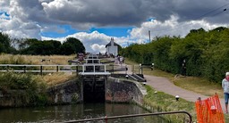 IMG_0874