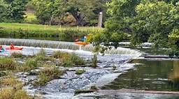 IMG_1104