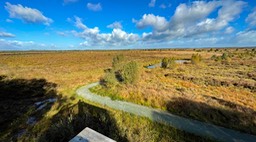 IMG_1161
