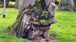 IMG_1165