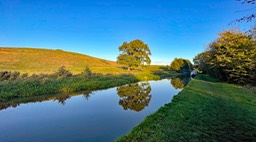IMG_1173