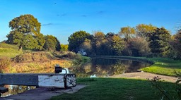 IMG_1176