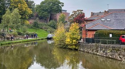 IMG_1241