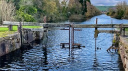 IMG_1262