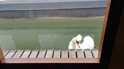 IMG_20210309_110305