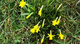 IMG_20210310_153320