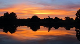 IMG_6349