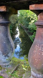 IMG_6365